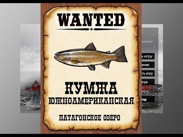 Ловим мутантов в РР3. Кумжа южноамериканская.