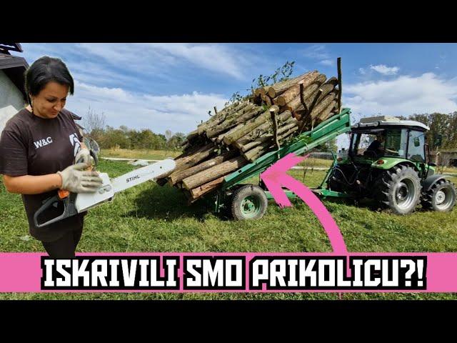 PROBA NOVE STIHL MOTORKE I SJEČA DRVA ZA PRODAJU!!