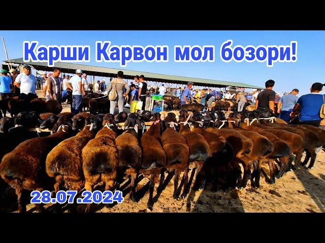 Карши Карвон мол бозори нархлари 28.07.2024