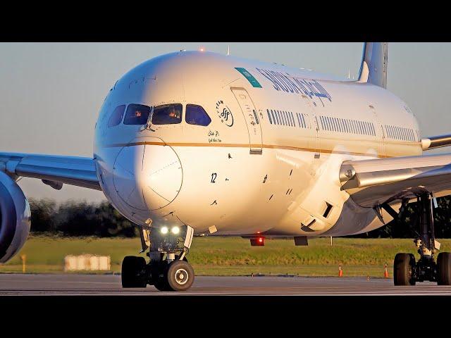 [4K] EPIC Close-ups Incl. NEW Etihad LIVERY WARNER BROS  - Plane spotting Amsterdam Schiphol Airport