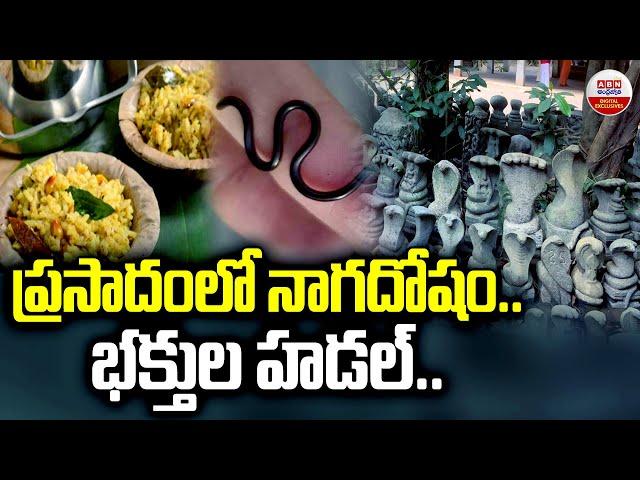 ప్రసాదంలో నాగదోషం..భక్తుల హడల్..! Snake Found in Temple Prasadam | Chandra Choodeswarar Temple | ABN