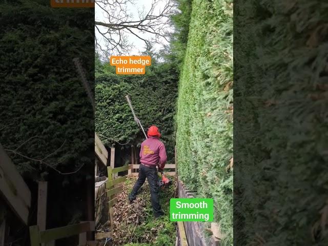 Hedge trimming #garden #gardener #gardeningtools #menatwork #quality #machines #echo #hedgetrimming