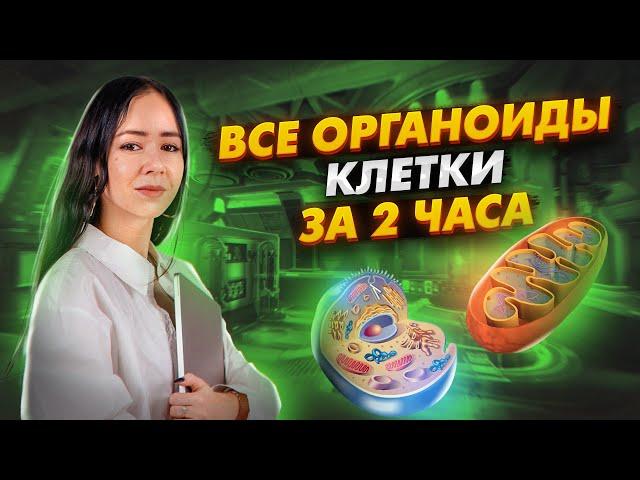 ВСЕ ОРГАНОИДЫ КЛЕТКИ ЗА 2 ЧАСА | Биология ЕГЭ