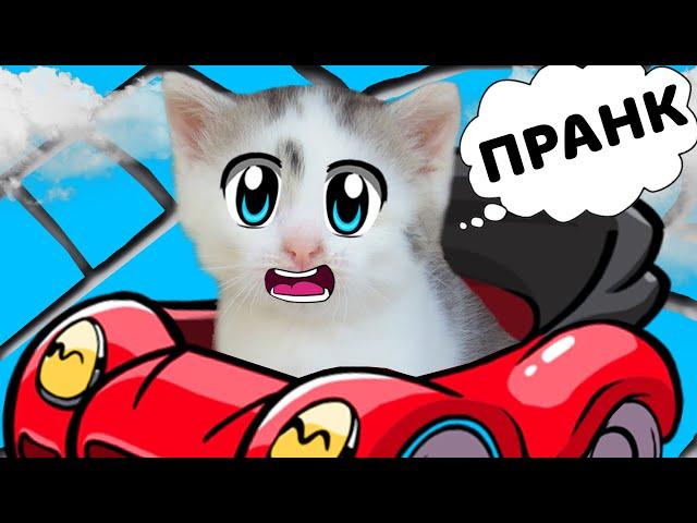 РОЗЫГРЫШ НАД КОТАМИ! НОВЫЕ ПРИКОЛЫ для пары КОТ Малыш и КОШЕЧКА ! 6 СМЕШНЫХ ПРАНКОВ над друзьями