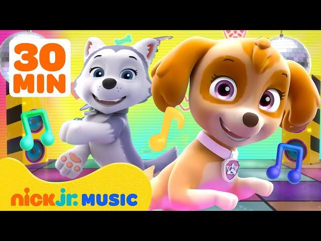 PAW Patrol Skye’s Ultimate Music Party Compilation!  | 30 Minutes | Nick Jr. Music