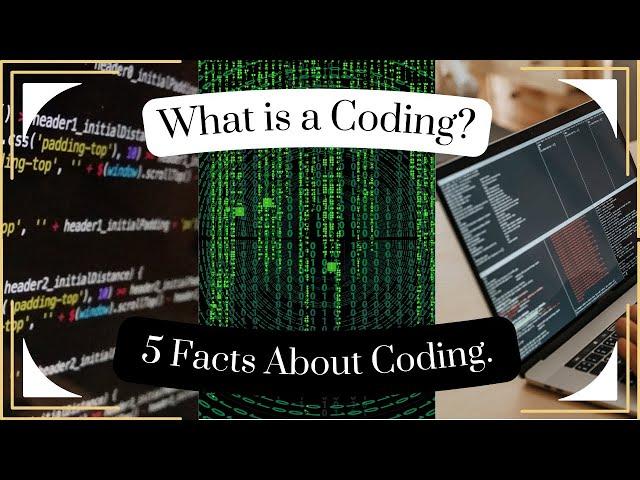 5 Facts about Coding!!! in one minute.