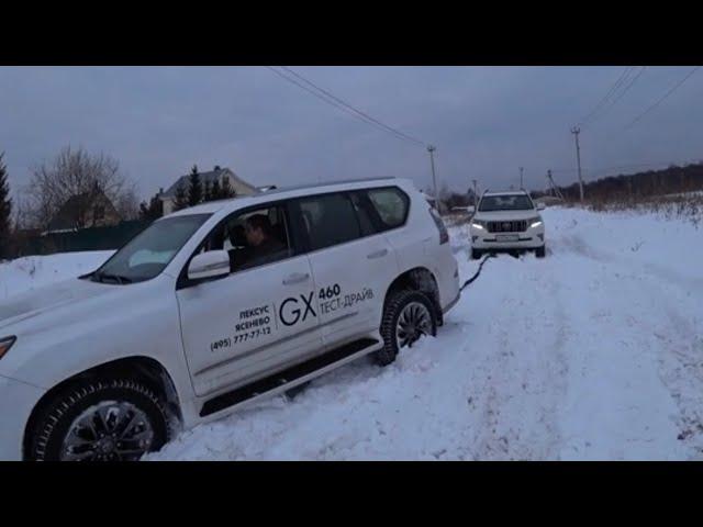 LEXUS GX VS TOYOTA PRADO