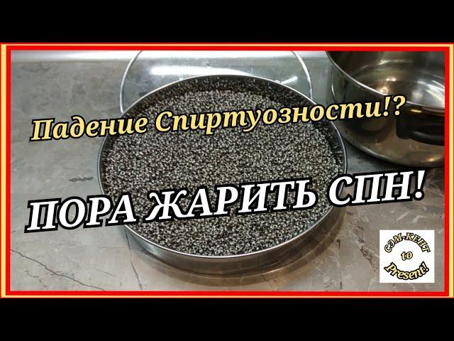 Как очистить СПН?; - Или КАК ЧАСТО Нужно чистить СПН!?