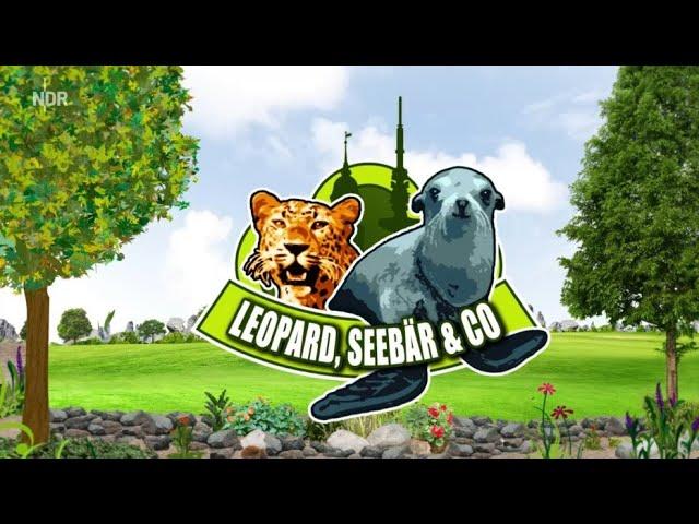 Leopard, Seebär & Co. Best Moments #29 aus Folge 111 #clips #funny