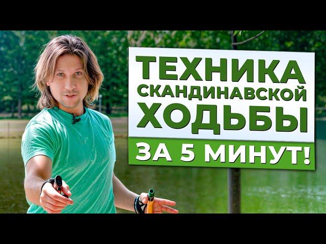 СКАНДИНАВСКАЯ ходьба — ключ к ЗДОРОВЬЮ! / Как правильно ХОДИТЬ с палками?