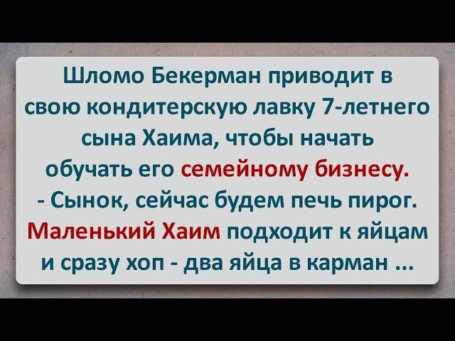 ️ Кондитерская Лавка Шломо Бекермана! Анекдоты про Евреев! Выпуск #119