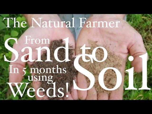 Fix Sandy Soil Using Weeds - John Kaisner The Natural Farmer