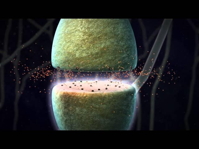 Chemical Synapse Animation