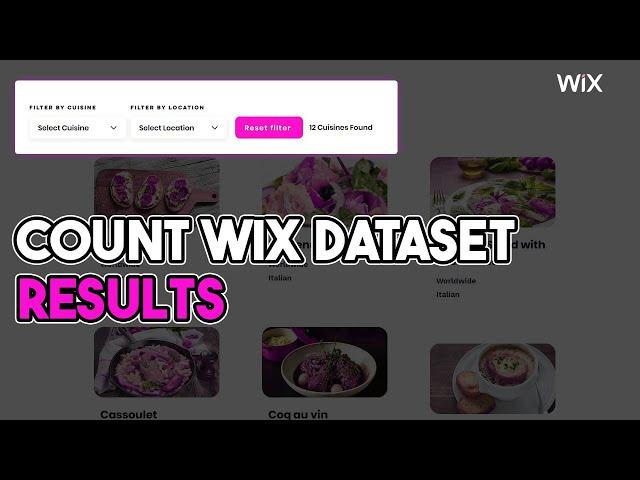 Count Wix Dataset Results | Wix Ideas