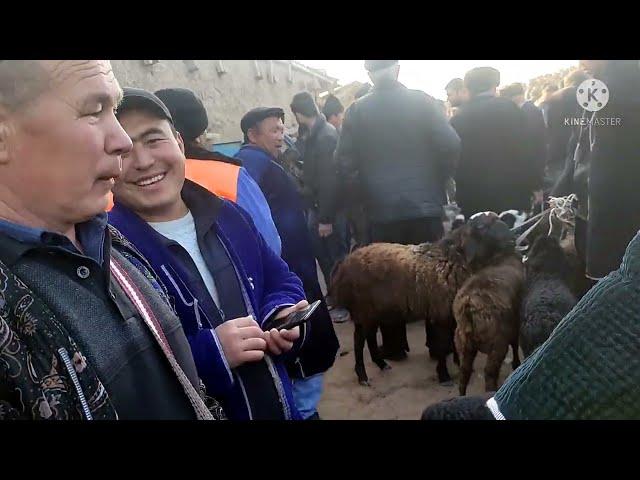 БУГУН #ЧИРОКЧИ #МОЛ# ВА #КУЙ# ВА #ЭЧКИ#  БОЗОРИ 2022. 2 МАРТ