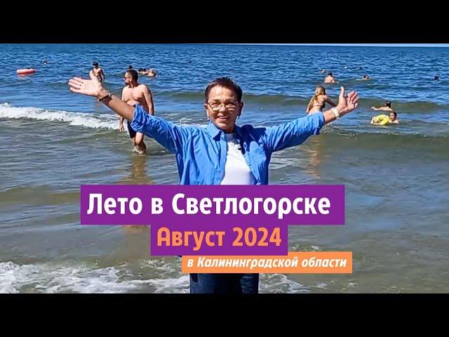 Лето в Светлогорске Калининградской области. Август 2024.