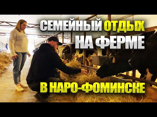 Семейный отдых на ферме в  Наро-Фоминске. Отзывы.