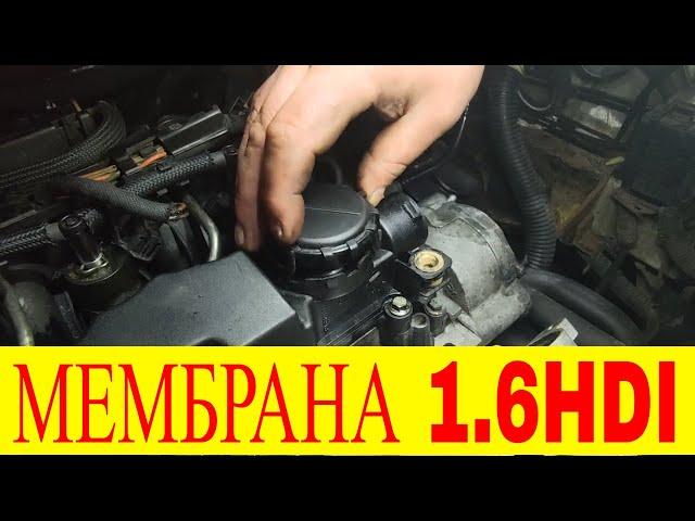 Одна из причин масложора 1.6hdi Замена Мембрана клапанной крышки PEUGEOT 1.6 HDI /1.6D 0248L1