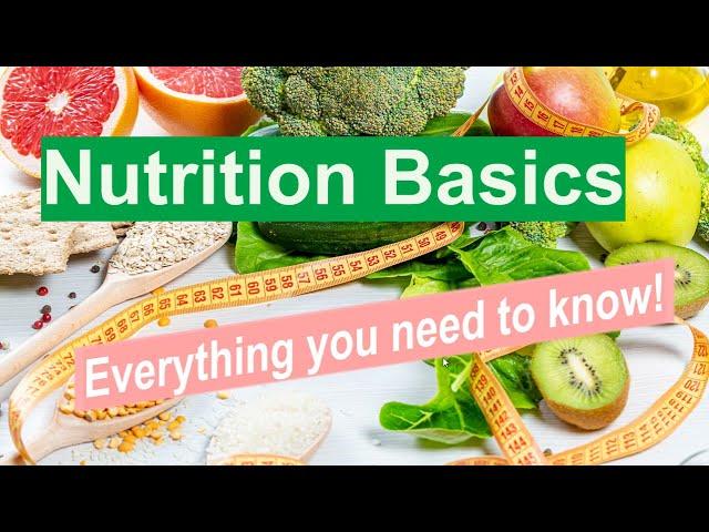 Introduction to Nutrition - Everything you need to know!