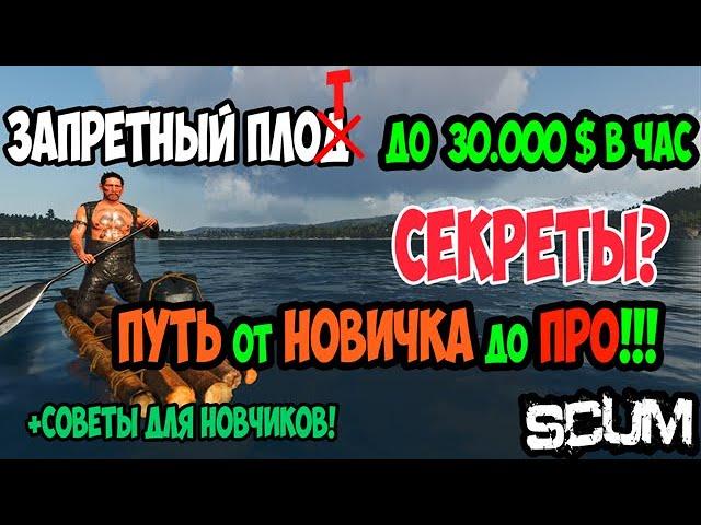 ГАЙД SCUM | ЗАПРЕТНЫЙ ПЛОТ | КАК ЗАРАБОТАТЬ ДЕНЕГ | ГАММА | В SCUM #gaming #scum #скам #выживание