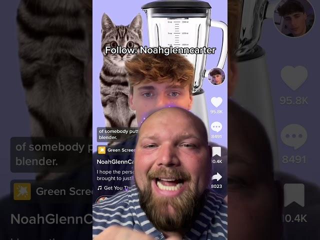 CAT IN BLENDER VIDEO!!!!