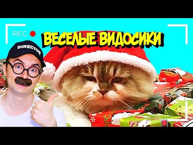 ВЕСЕЛЫЕ ВИДОСИКИ! 6 МИНУТ СМЕХА(ИЛИ НЕТ)