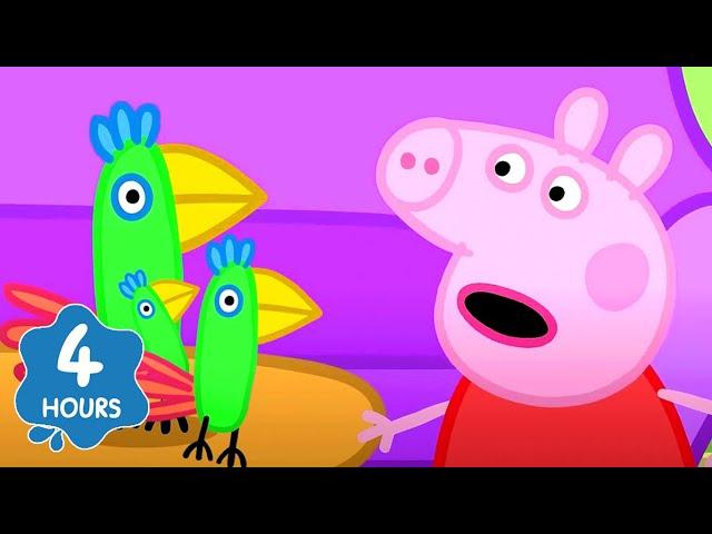 Peppa Pig Enjoying meeting a Parrot!  | Peppa Pig | Full Episodes | Cartoons for Kids