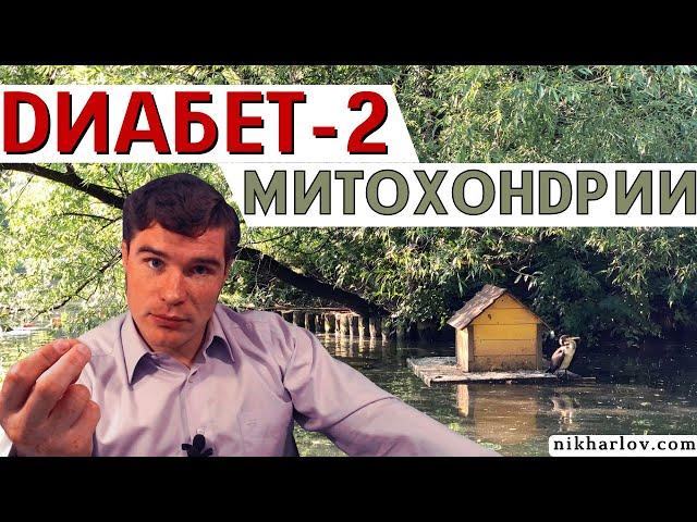 Митохондрии и Диабет 2 типа. Старые таблетки снижают сахар крови, а механизмы и последствия разные.