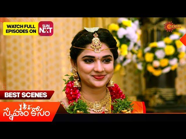 Sneham Kosam - Best Scenes | 20 Nov 2024 | Gemini TV