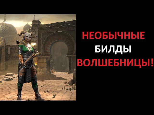 Сорка-Лучница, боец ближнего боя и медведь.  Diablo 2 Ressurrected