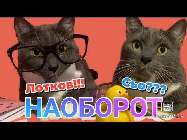 ЕСЛИ БЫ КОТИКИ ХОДИЛИ В ШКОЛУ - ЛОТКОВ СНОВА В ДЕЛЕ (наоборот)