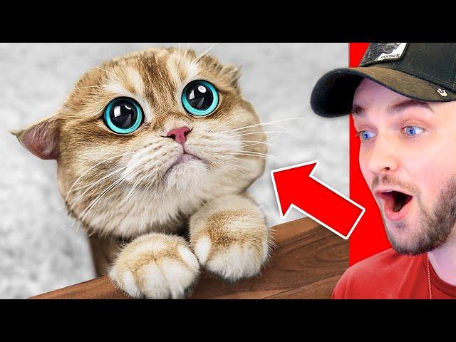 World’s *HARDEST* Try Not To Say AWW Challenge!