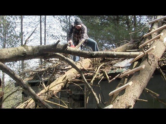 DANGEROUS TREE REMOVAL ......... storm damage trees on a cabin roof