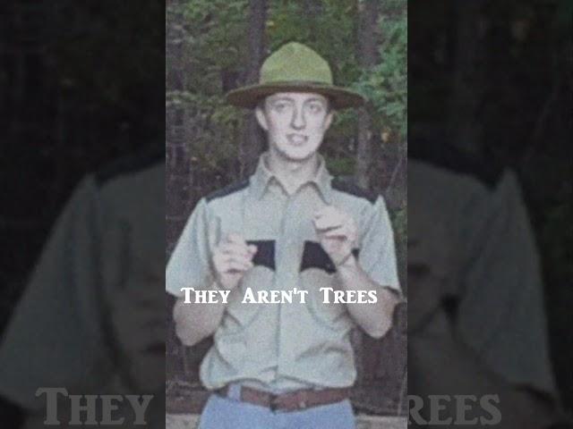 The trees are not what you think #horror