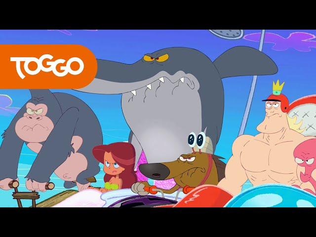 Zig und Sharko   Sei am Anfang vorsichtig   Volledige aflevering in HD