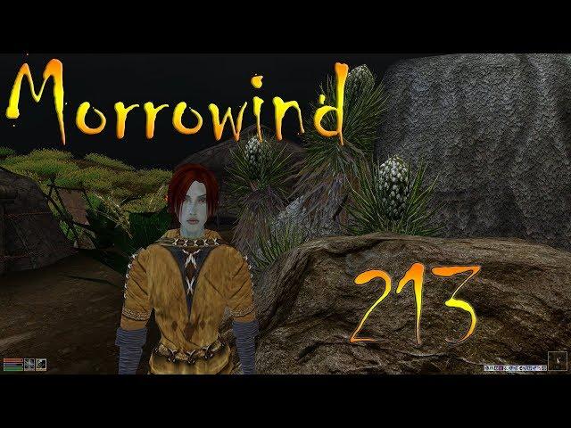 Morrowind Fullrest Repack 1.5 слепое женское прохождение ч.213: Мать Джулана