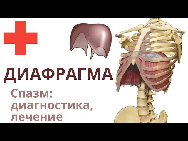 ДИАФРАГМА: причины спазма, диагностика, лечение #диафррагма #спазм #здоровье