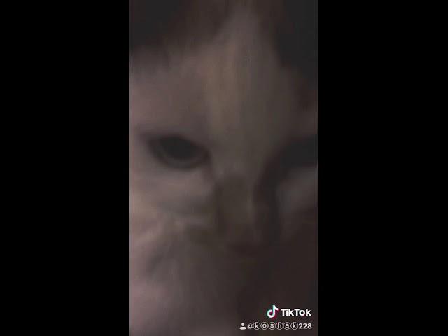 Дай пожрать немножко :3