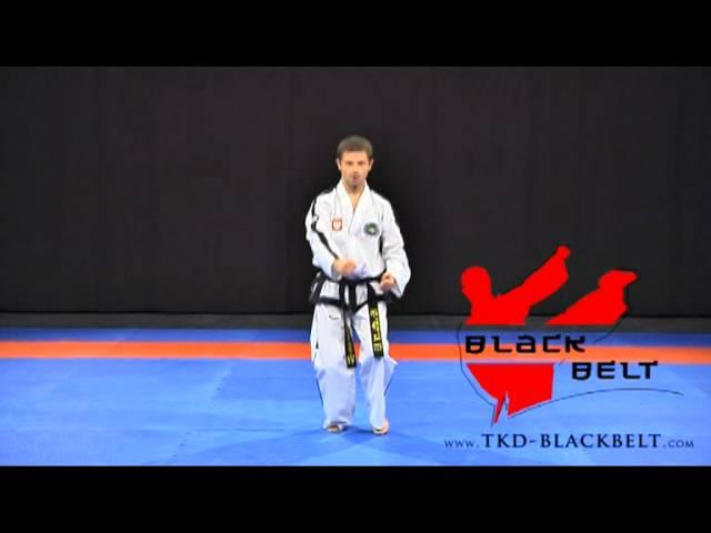 SAJU-JIRUGI by Jaroslaw Suska - www.tkd-blackbelt.com