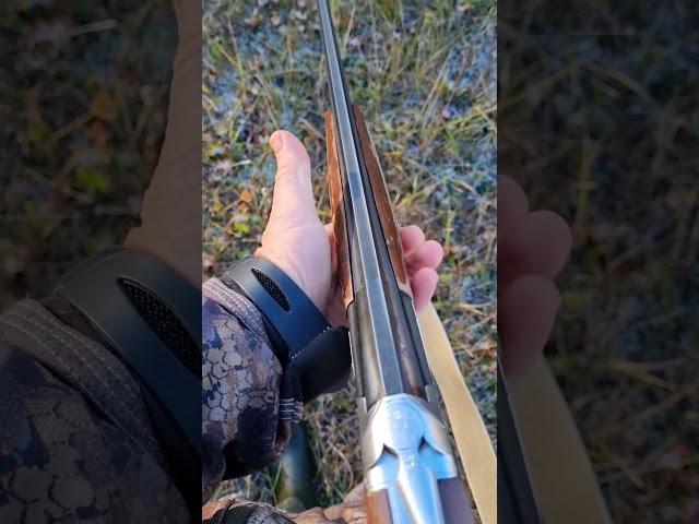 Shotgun 20 gauge/ружьё 20 калибра #shorts #shotgun #hunting #hunt #cz #cartridge #gun #weapon #20cal