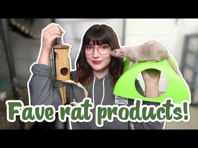 My top favourite items to use with pet rats!