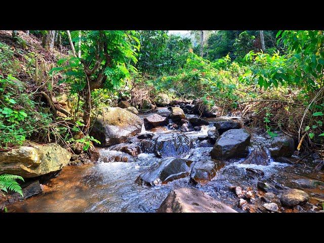 Soothing Water Sounds Flowing Down Over Rocks Help You Healing of Stress