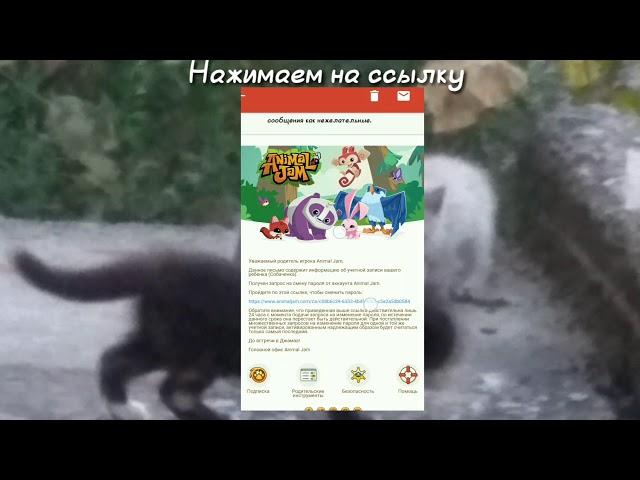 Как менять код в Animal Jam?