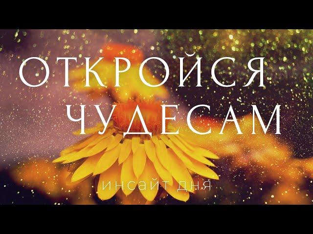 ТВОЙ ИНСАЙТ ДНЯ: утренние аффирмации чудес и исполнения желаний { ASMR САБЛИМИНАЛ НАСТРОЙ НА ДЕНЬ}