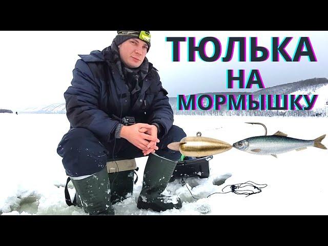 как насадить тюльку на мормышку / зимняя рыбалка 2022 / рыбалка / судак на тюльку /