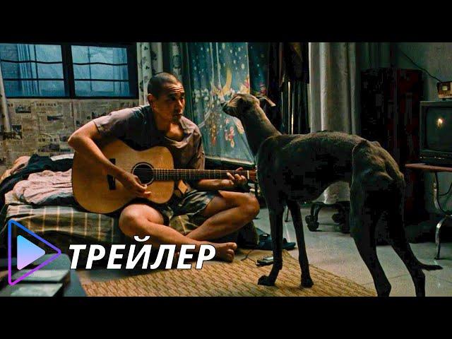 Чёрный пёс (2024) - Русский трейлер | Gou zhen