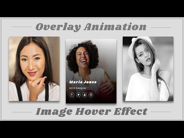 Image Overlay Hover Effect with CSS  Flexbox | CSS Image Hover Effect