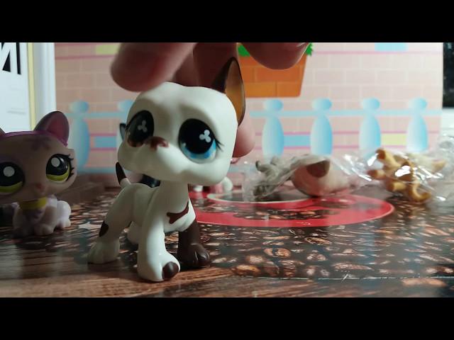 Распаковка LPS Littlest Pet Shop новых Пэтов: Кошки-стоячки ...