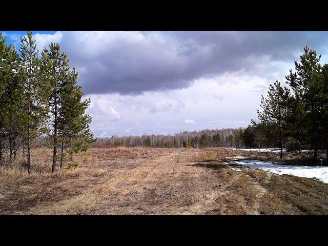 Steppe, Wetlands and forest in the Tyumen Oblast