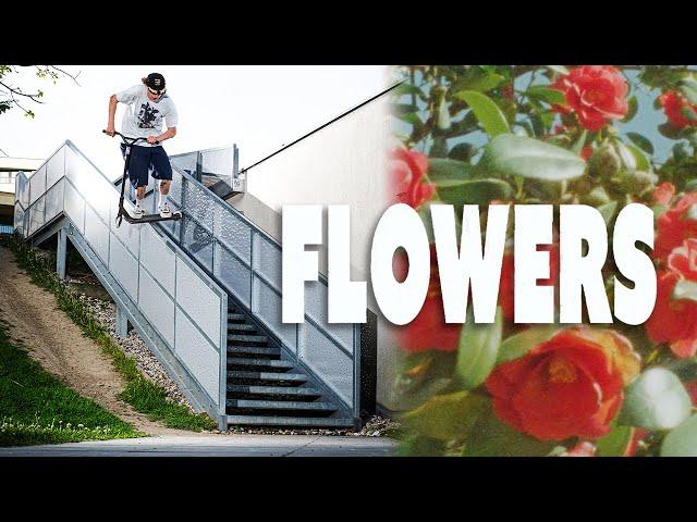 Pleasure presents | FLOWERS